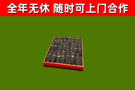 龙山回收海参